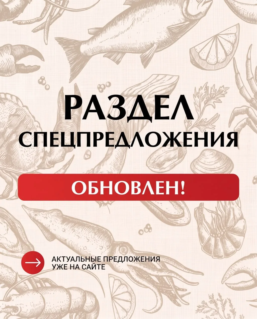🔥 ОБНОВИЛИ РАЗДЕЛ СПЕЦПРЕДЛОЖЕНИЯ