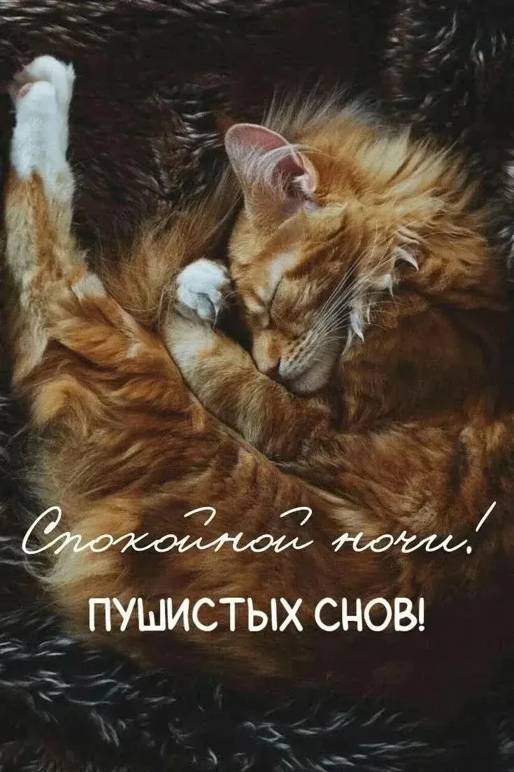 Всем всем спокойной ночи и нежных снов)))))
