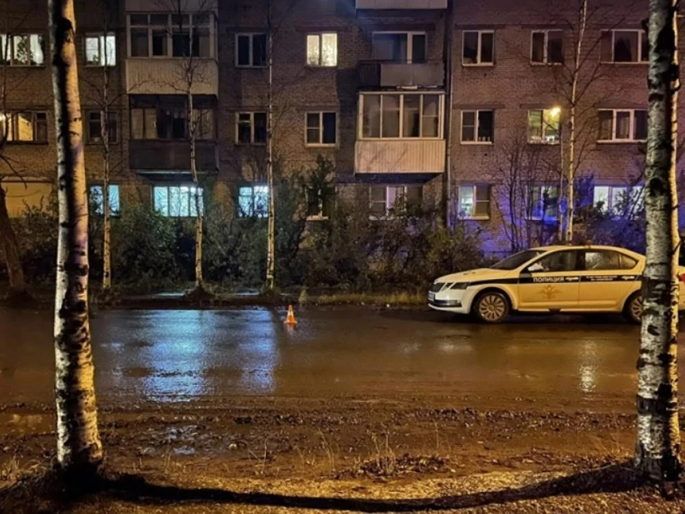 🚔 Сбитая на Партизанской архангелогородка скончалась в больнице.