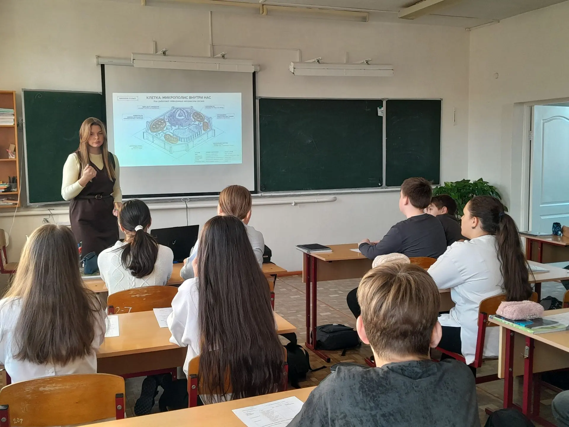 РЕФЛЕКСИЯ И ДИФФЕРЕНЦИАЦИЯ НА УРОКЕ БИОЛОГИИ
