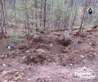😱 Очередное нападение медведей зафиксировали в Иркутской области: в лесу обнаружили ср...