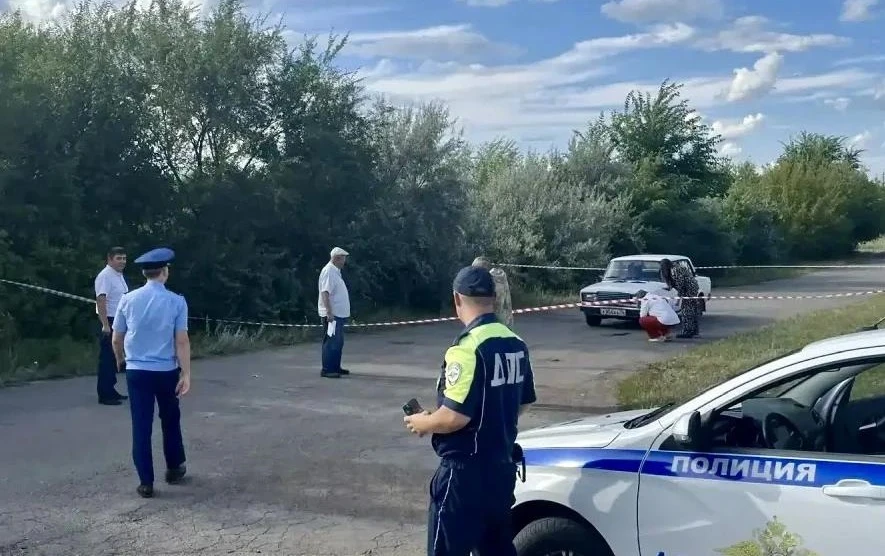 Пожилого жителя Челябинской области будут судить за смертельный наезд на сидевшего на д...