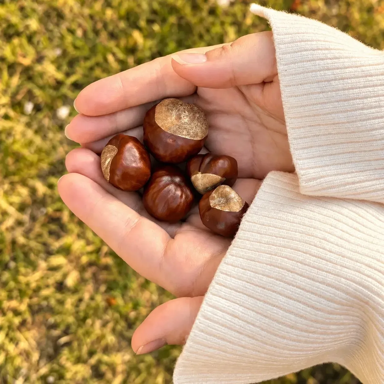 Осенние краски нашего ЖК 🍂