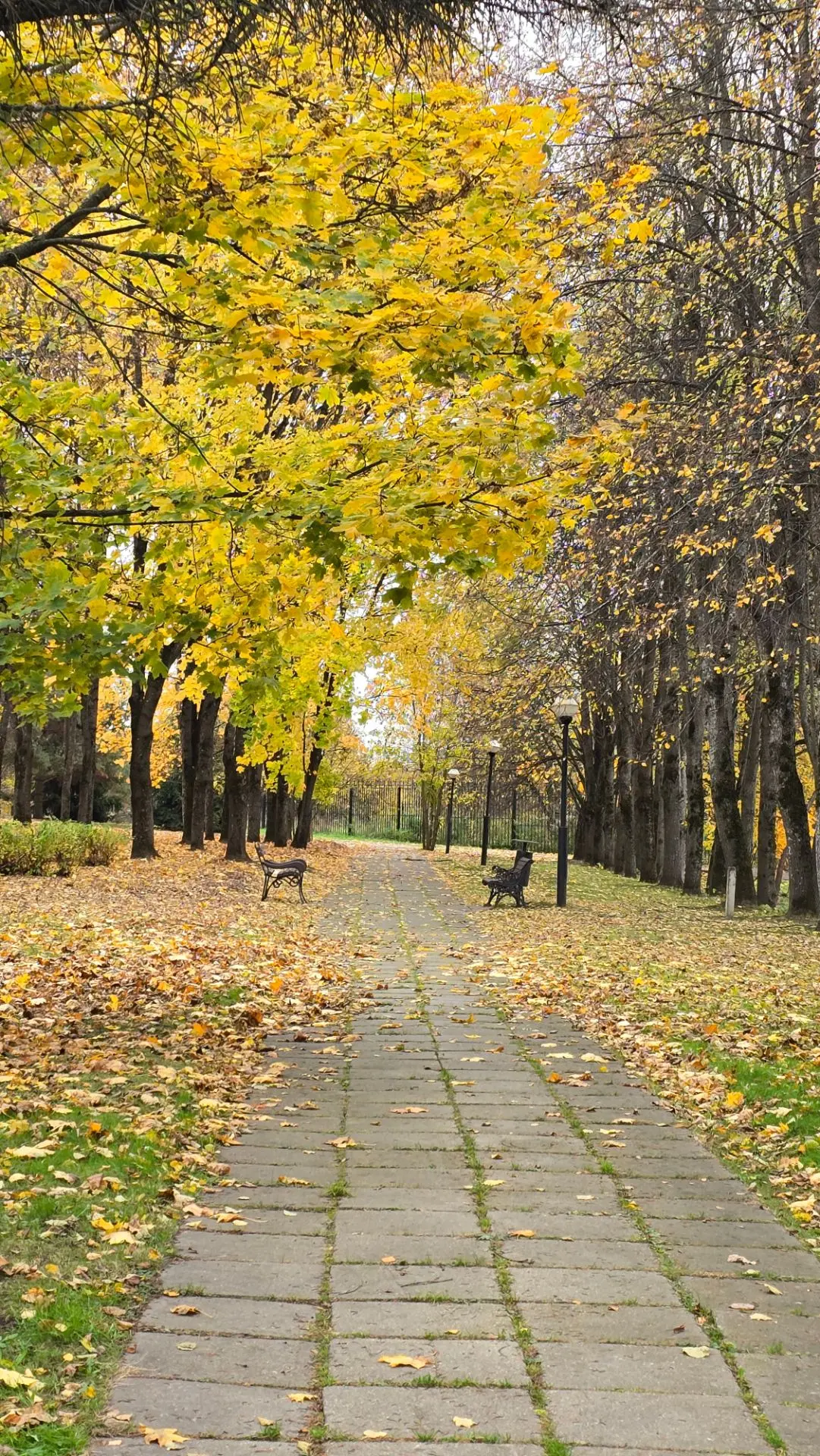 Осеннее очарование рядом, нужно только замедлиться🍁🍁🍁
