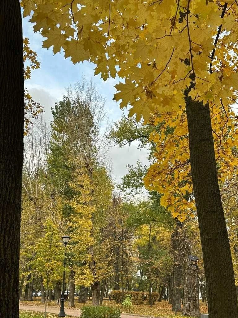 Красивая прогулка по осеннему Скверу Девичьего поля ❤