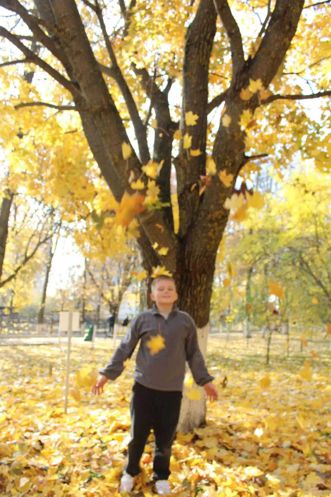 🍂🍁🍂Пенза в позолоте октября🍁🍁🍁