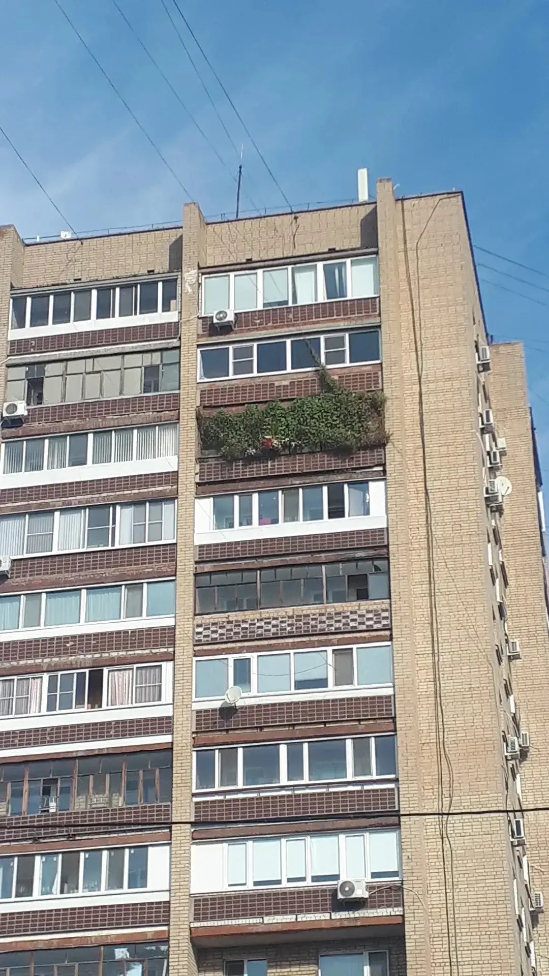 если не хватает места для цветов,лучше не ставьте их на балкон😂