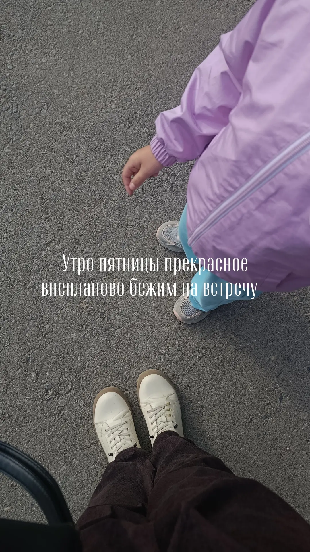 Чисто я, которая сказала пусть дома, мне никуда не надо.