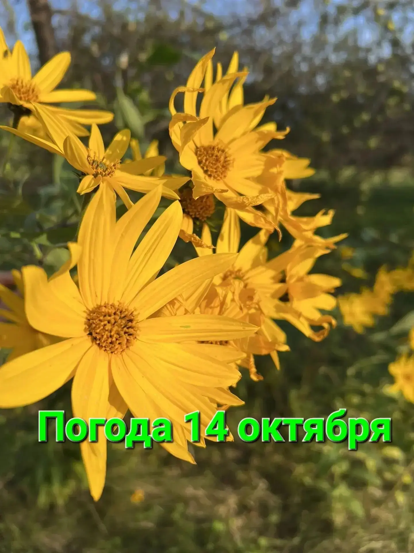 Всё еще тепло