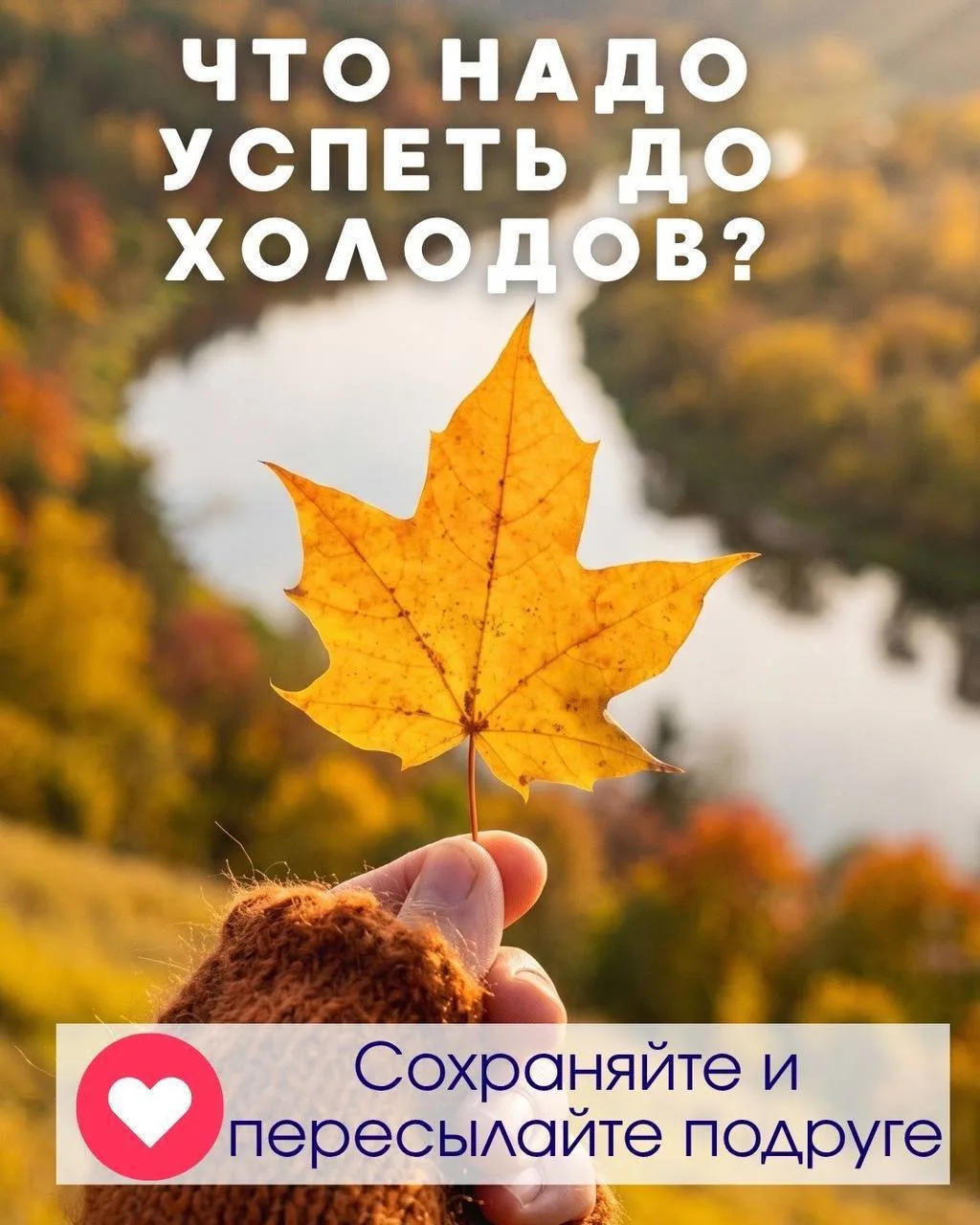 Зима близко! Что надо успеть до холодов?