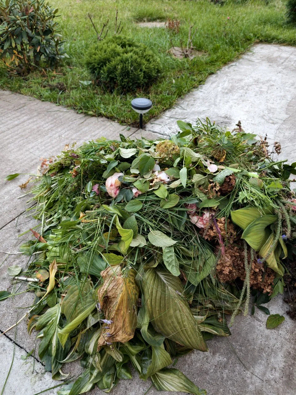 Немножечко навела сегодня порядок в саду🏠🌱