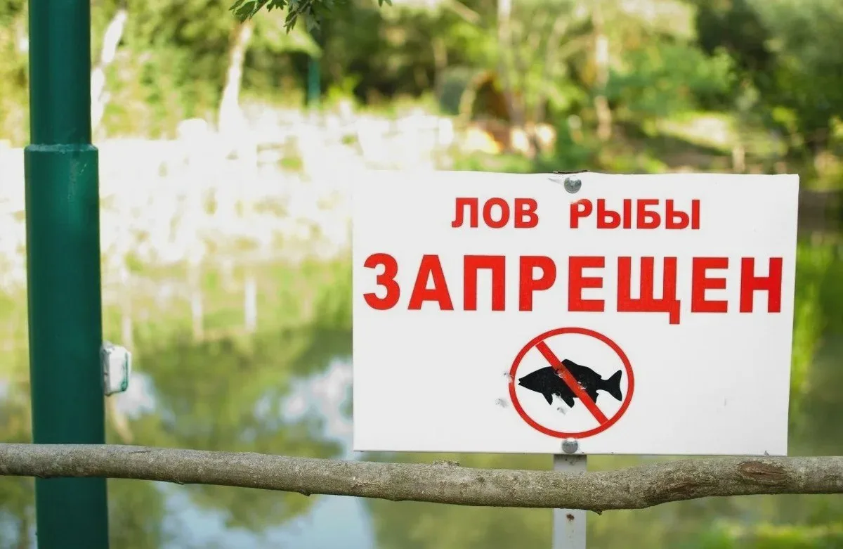 В Печорском районе пресекли незаконный лов