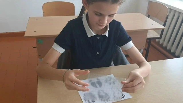 На занятии юные физики узнали, что такое палетка, как изготовить эталон площади и измер...