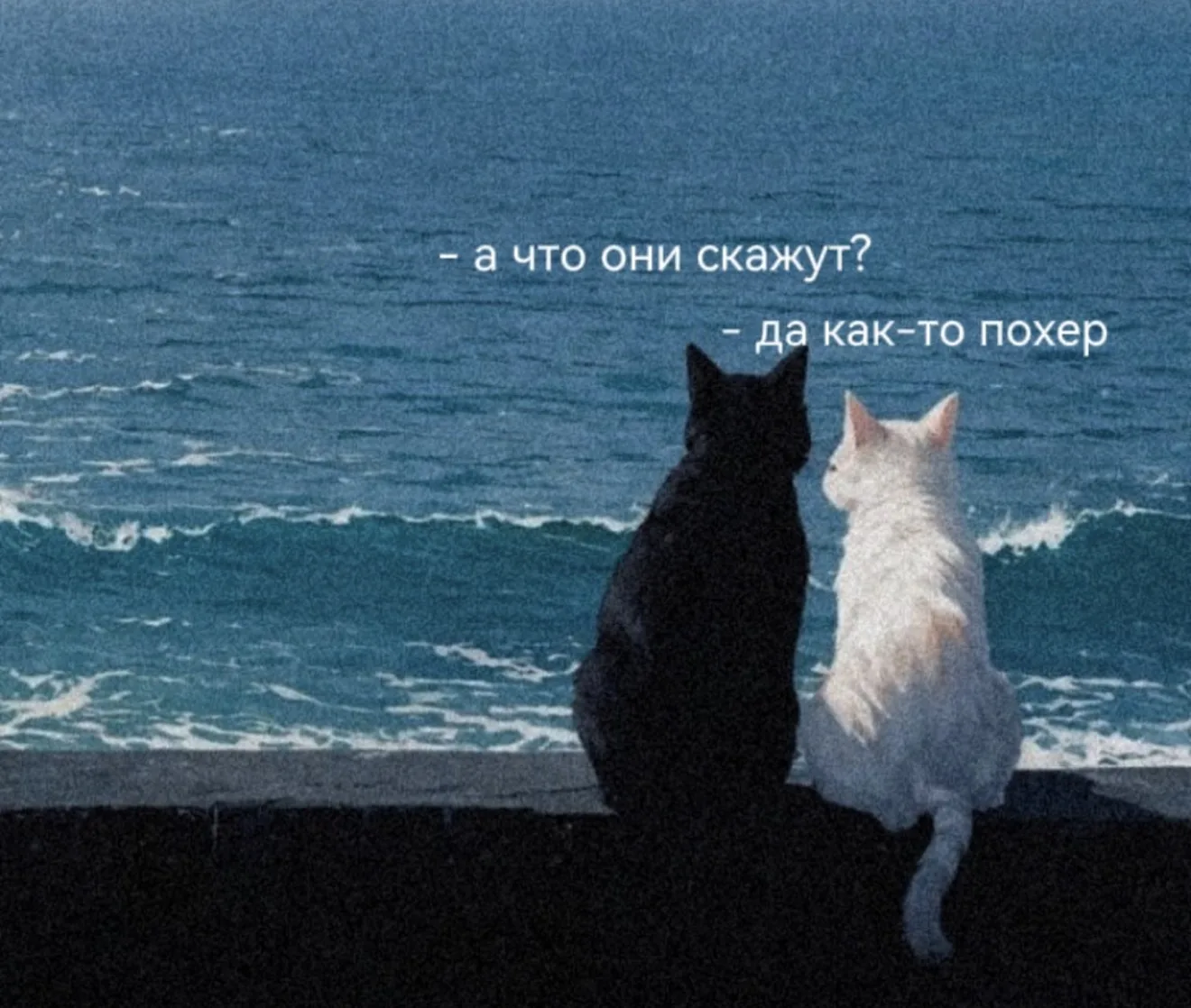 Факт?👀