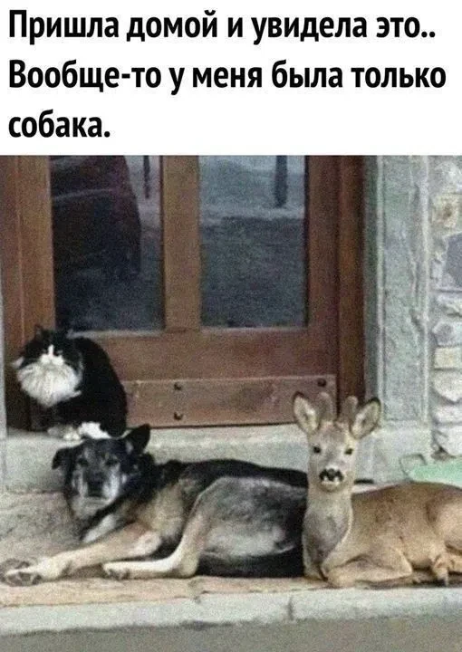 😅😅😅