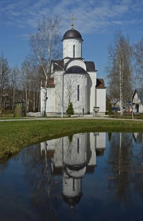 🌿 В Долгопрудном пытаются спасти Шереметьевский пруд
