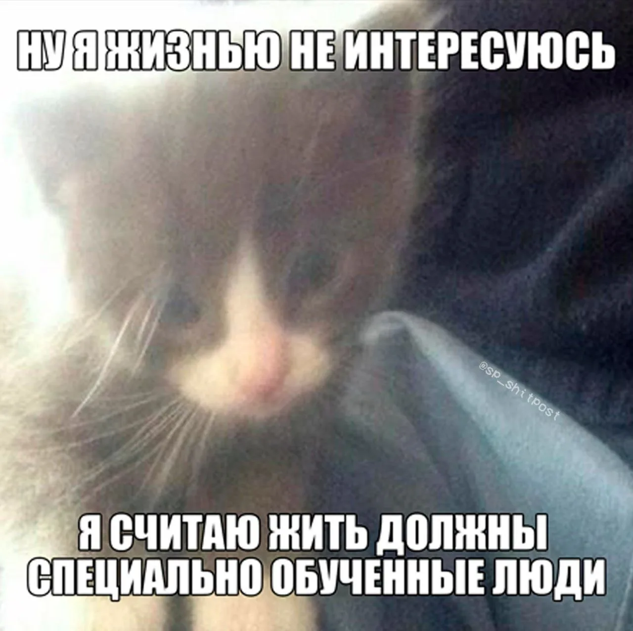 Мнения? :)