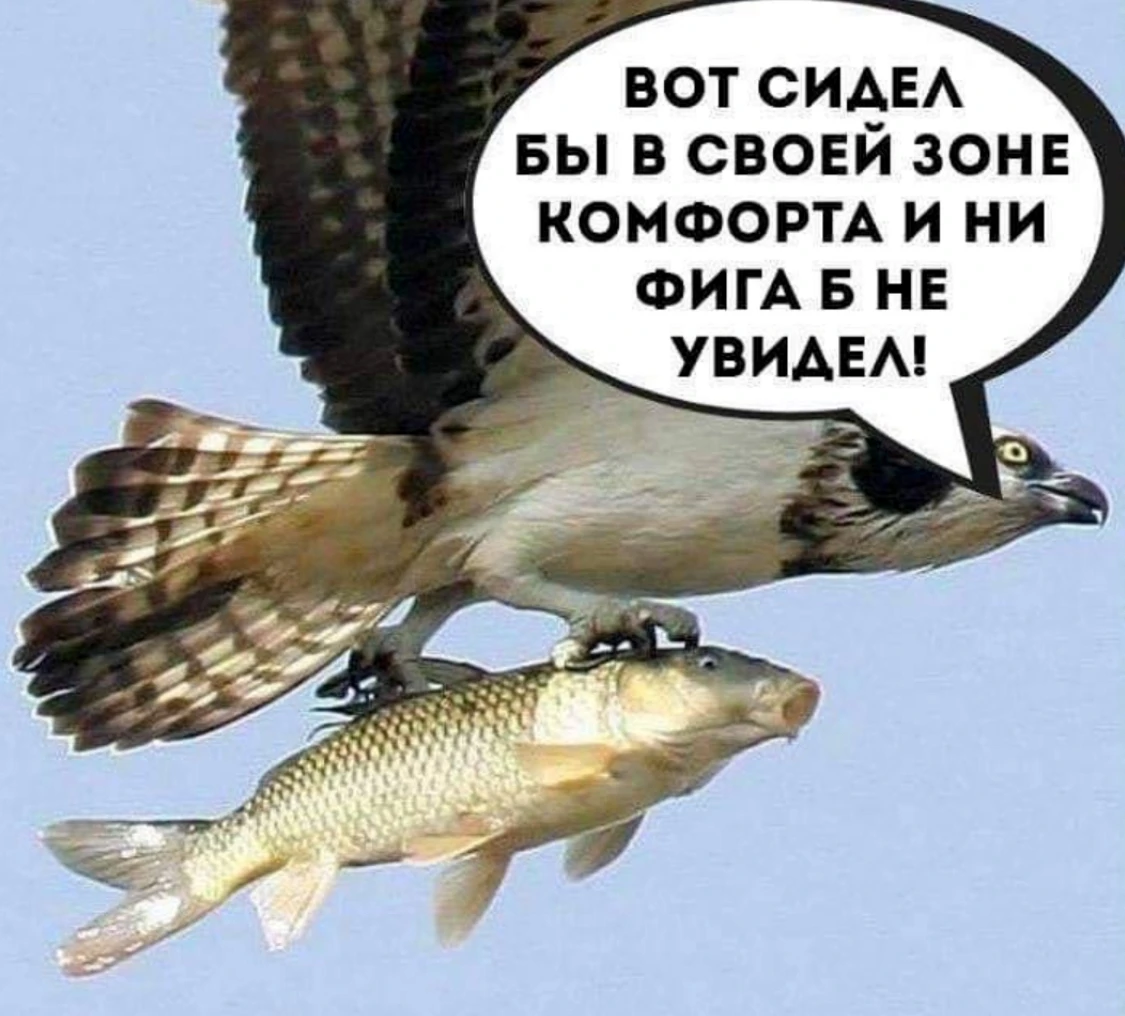 НОВЫЕ ВОЗМОЖНОСТИ