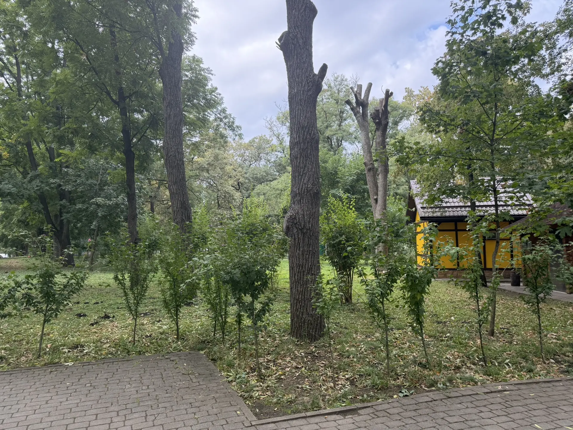 Доброе утро, гости краснодарских парков!🍁