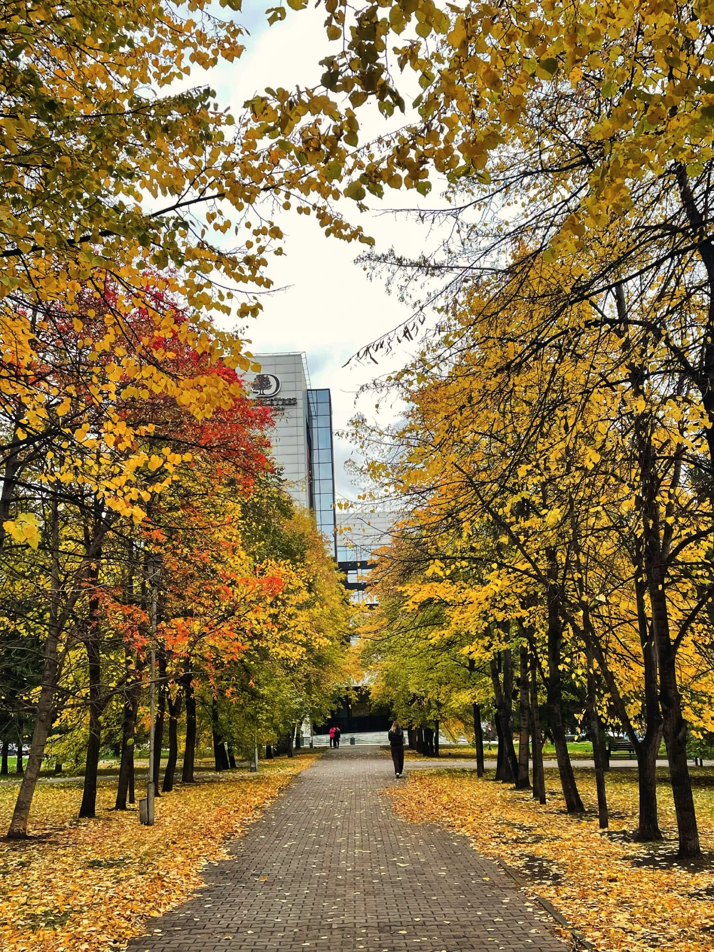 Новосибирск осенний 😍 🍂