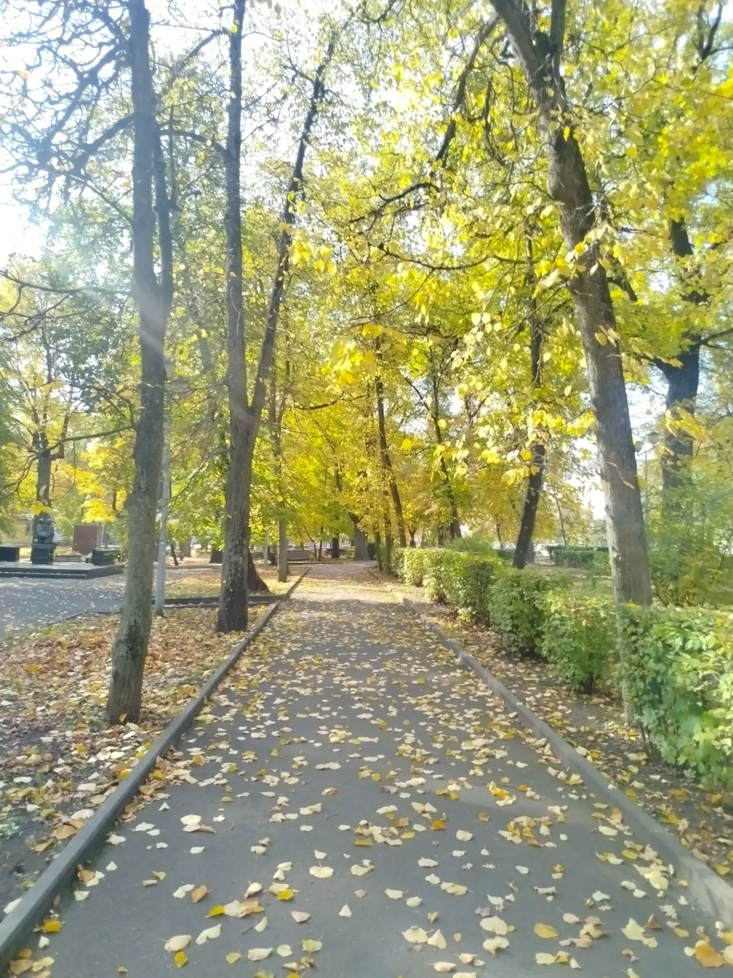"Бабье лето" в Липецке 🍁