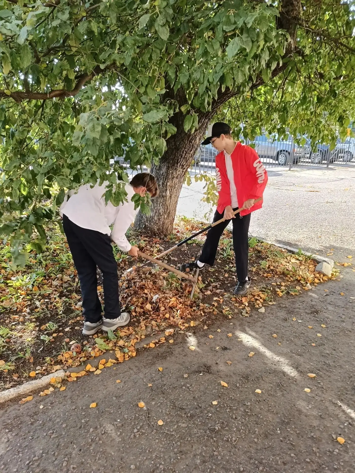 Маленькие герои большого дела — наши ребята на связи! 🍂