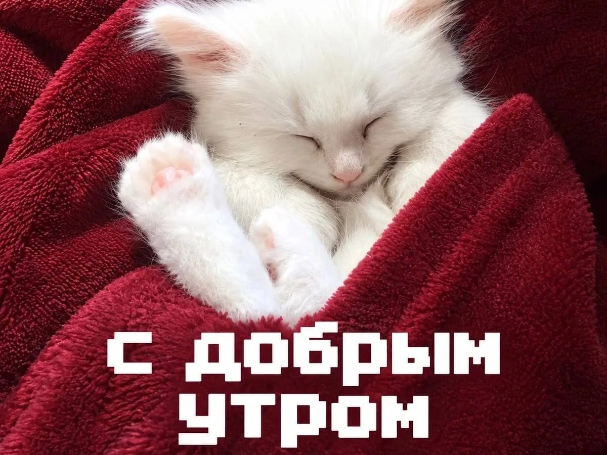 🌞 Доброе утро, дорогие читатели!