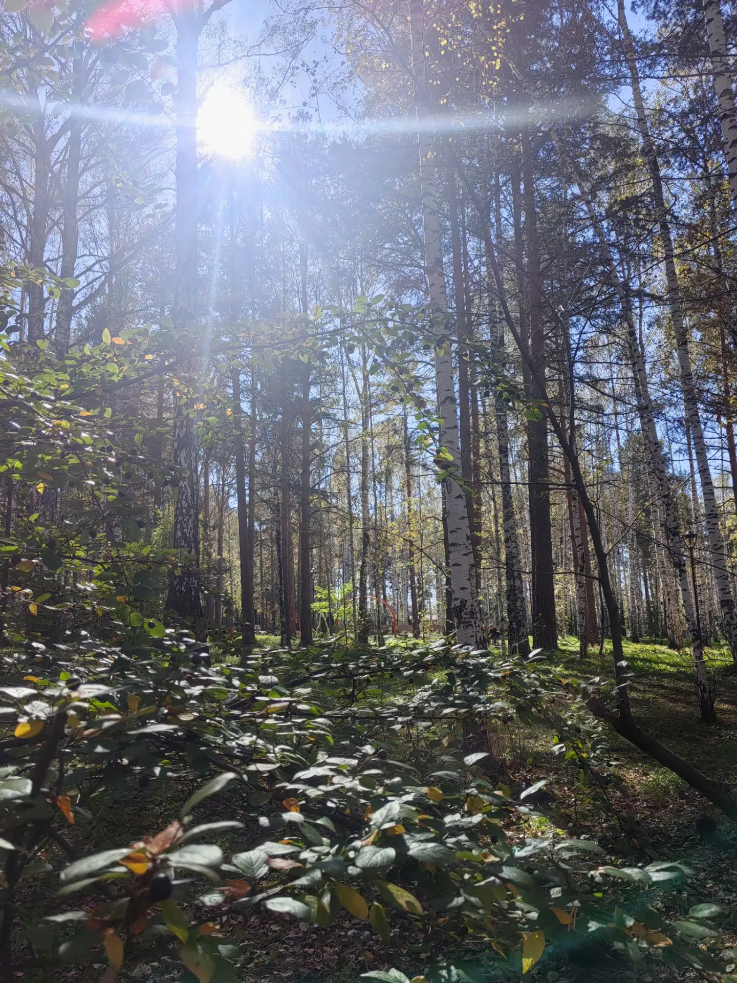 ☀️ В Свердловскую область возвращается тепло 😎