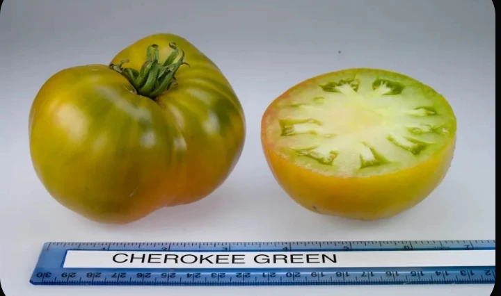 🌈🍅 НЕОБЫЧНЫЕ ТОМАТЫ, КОТОРЫЕ ХОЧЕТСЯ ПОСАДИТЬ! Подборка на новый сезон