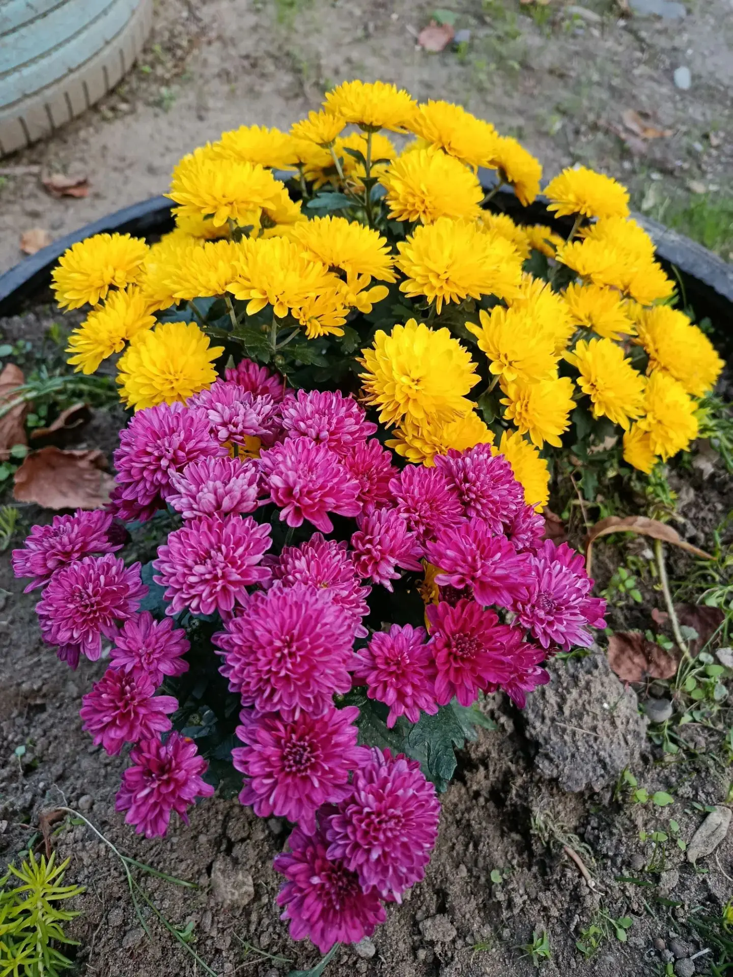 Доброе утро, друзья 💖