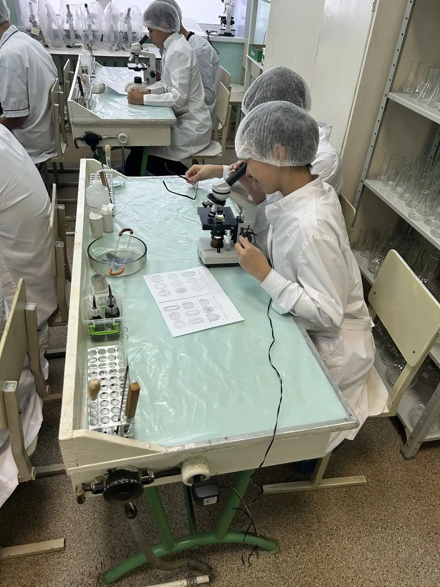 🧬 Мир науки — ближе, чем кажется! 🔬