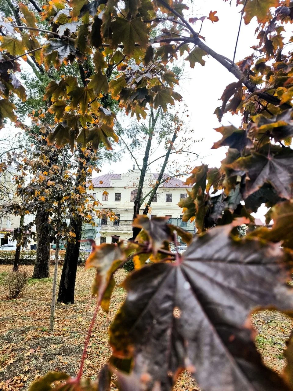Пасмурные деньки 🙂