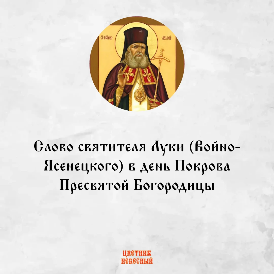 Никто да не усомнится в том, что видели человеческими глазами блаженный Андрей и ученик...