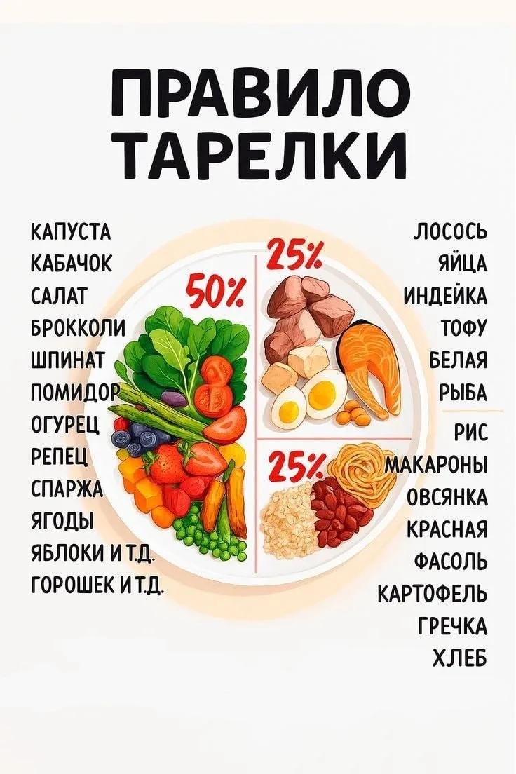 🍽️ Правило тарелки