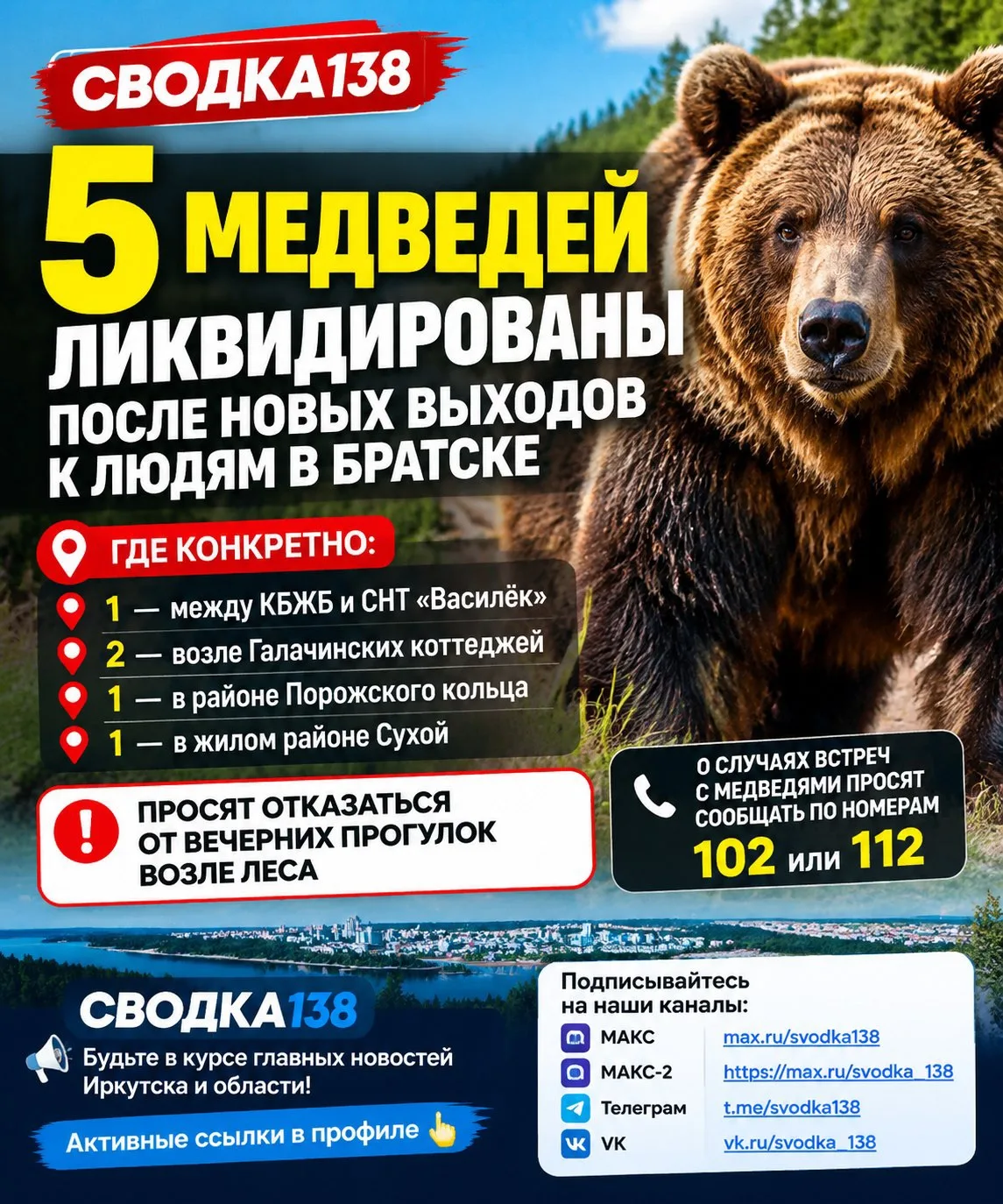 🐻 Пять медведей ликвидировали после новых выходов к людям в Братске