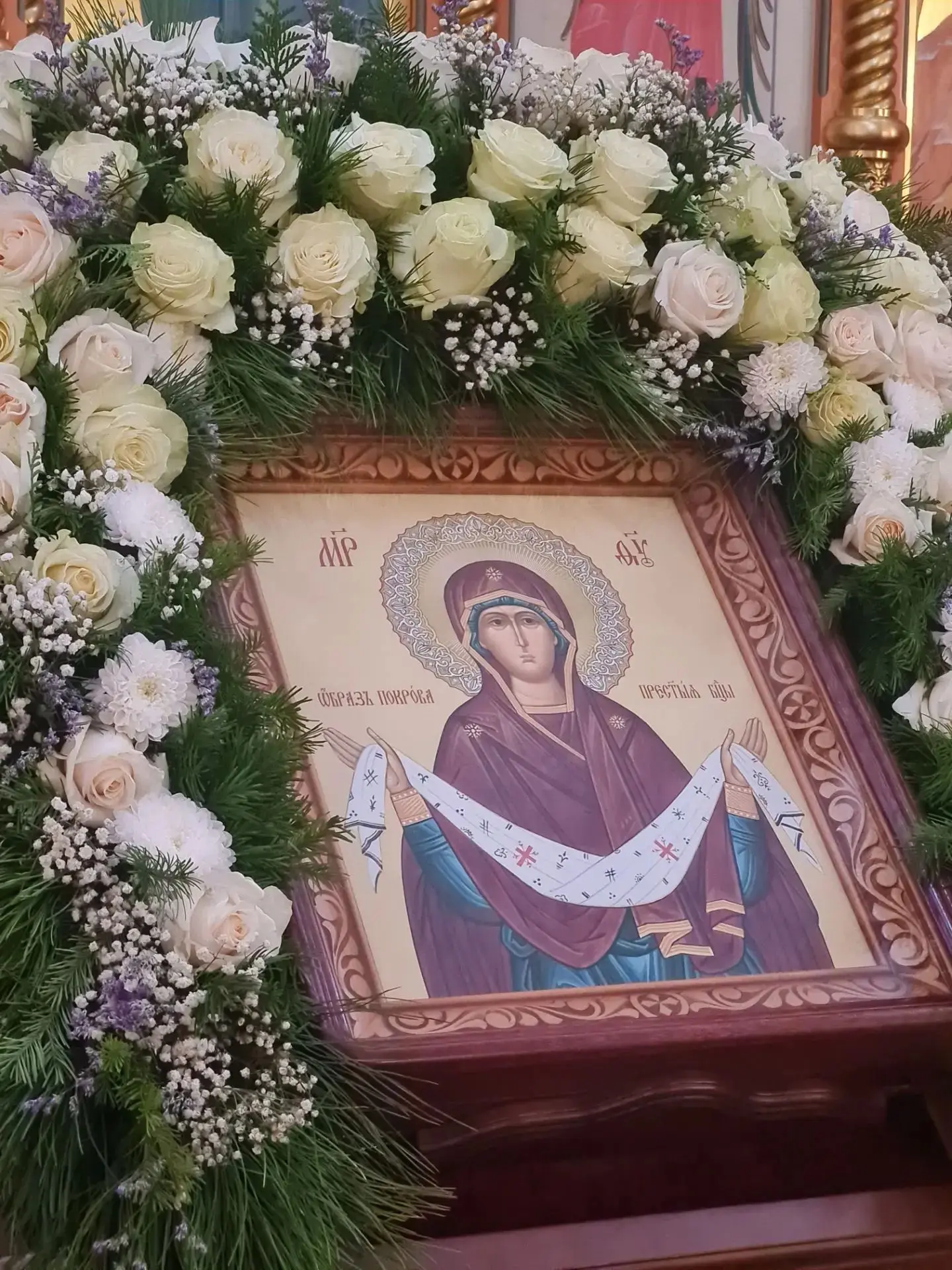 фото/видео- карточки дня 💒🌟