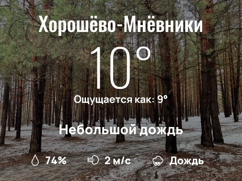 Что с погодой в Хорошёво-Мнёвниках?