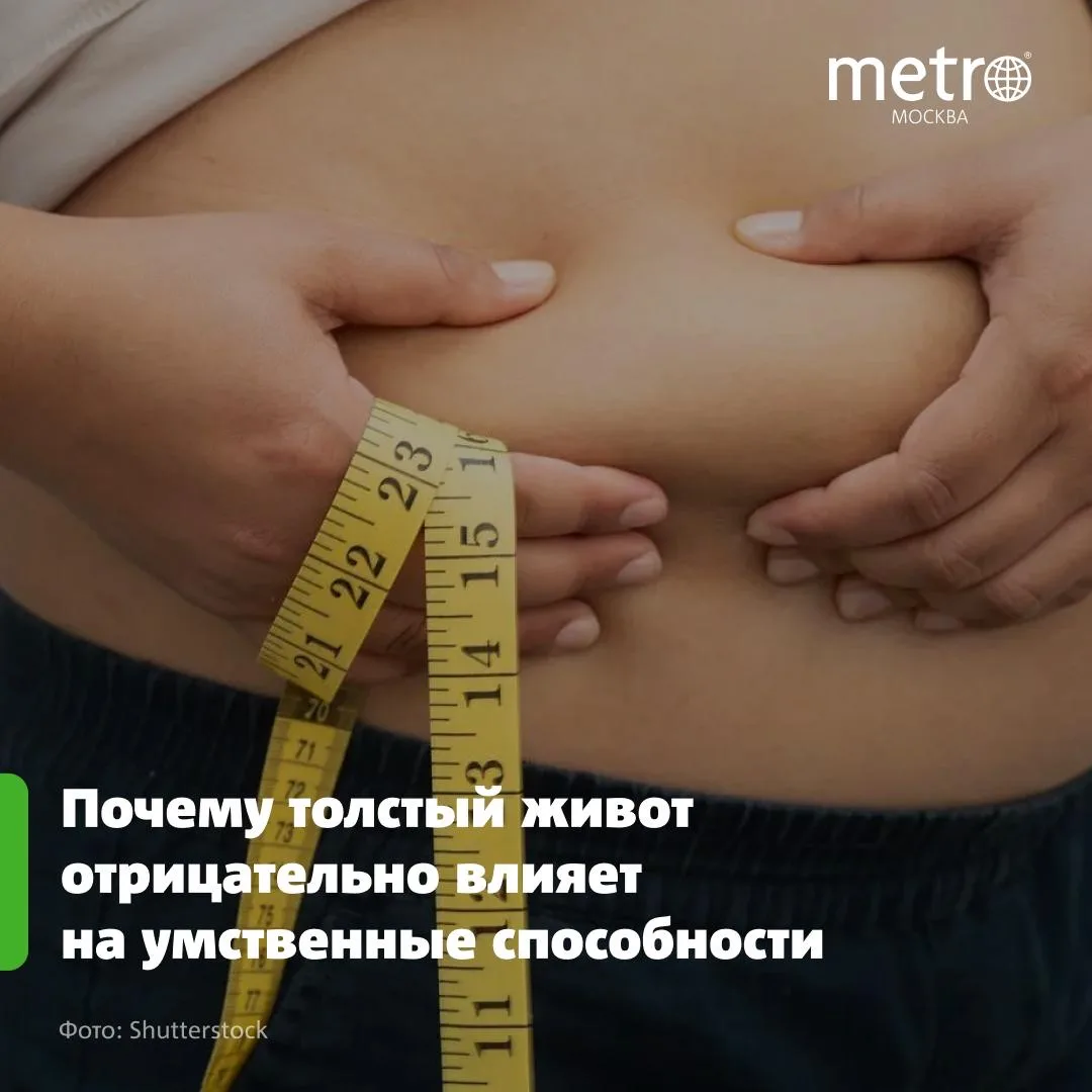 Почему толстый живот отрицательно влияет на умственные способности