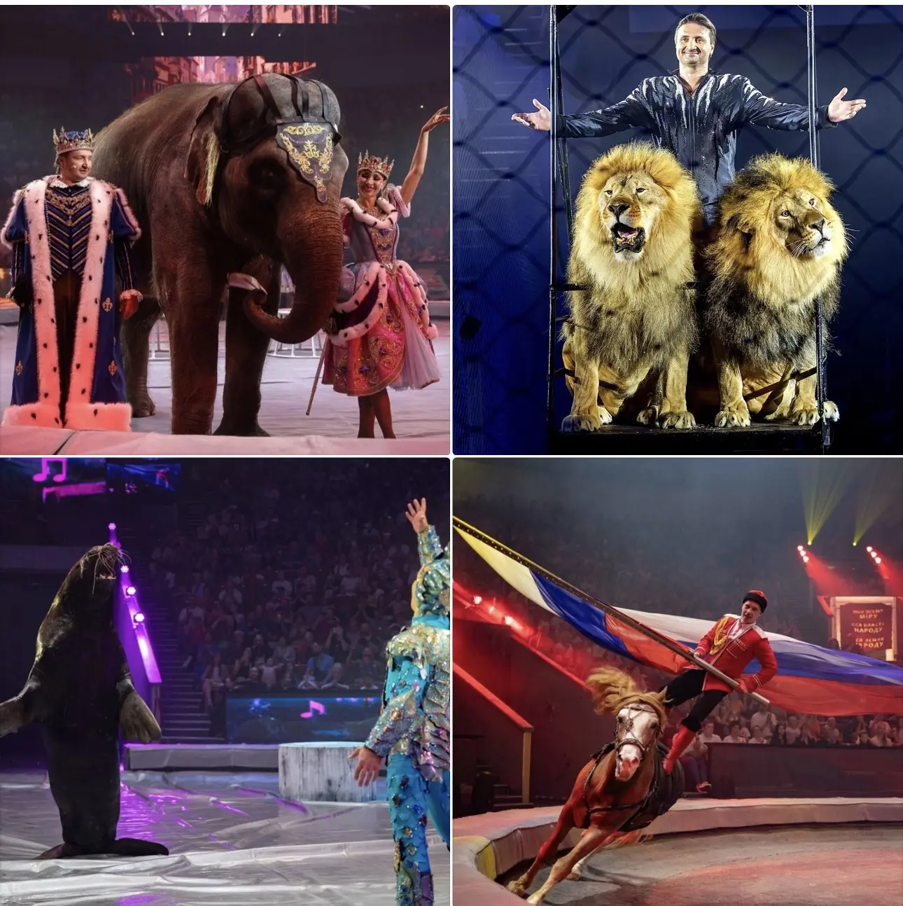 31 ОКТЯБРЯ на каникулах🎪 БОЛЬШОЙ МОСКОВСКИЙ ЦИРК ✨ «СОВСЕМ БОЛЬШОЙ» и парк «ПАТРИОТ»