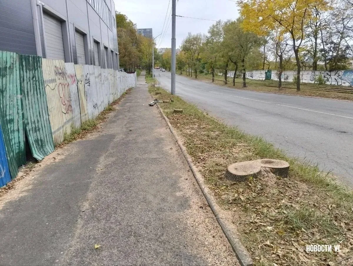 Ради новой автомойки на Борисенко срубили деревья и уничтожили тротуар
