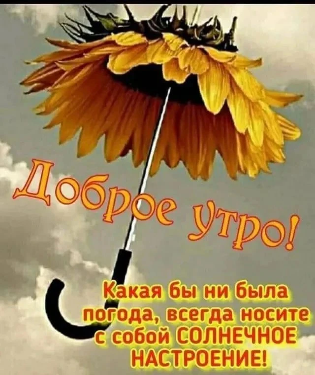 Доброе утро, соседи!