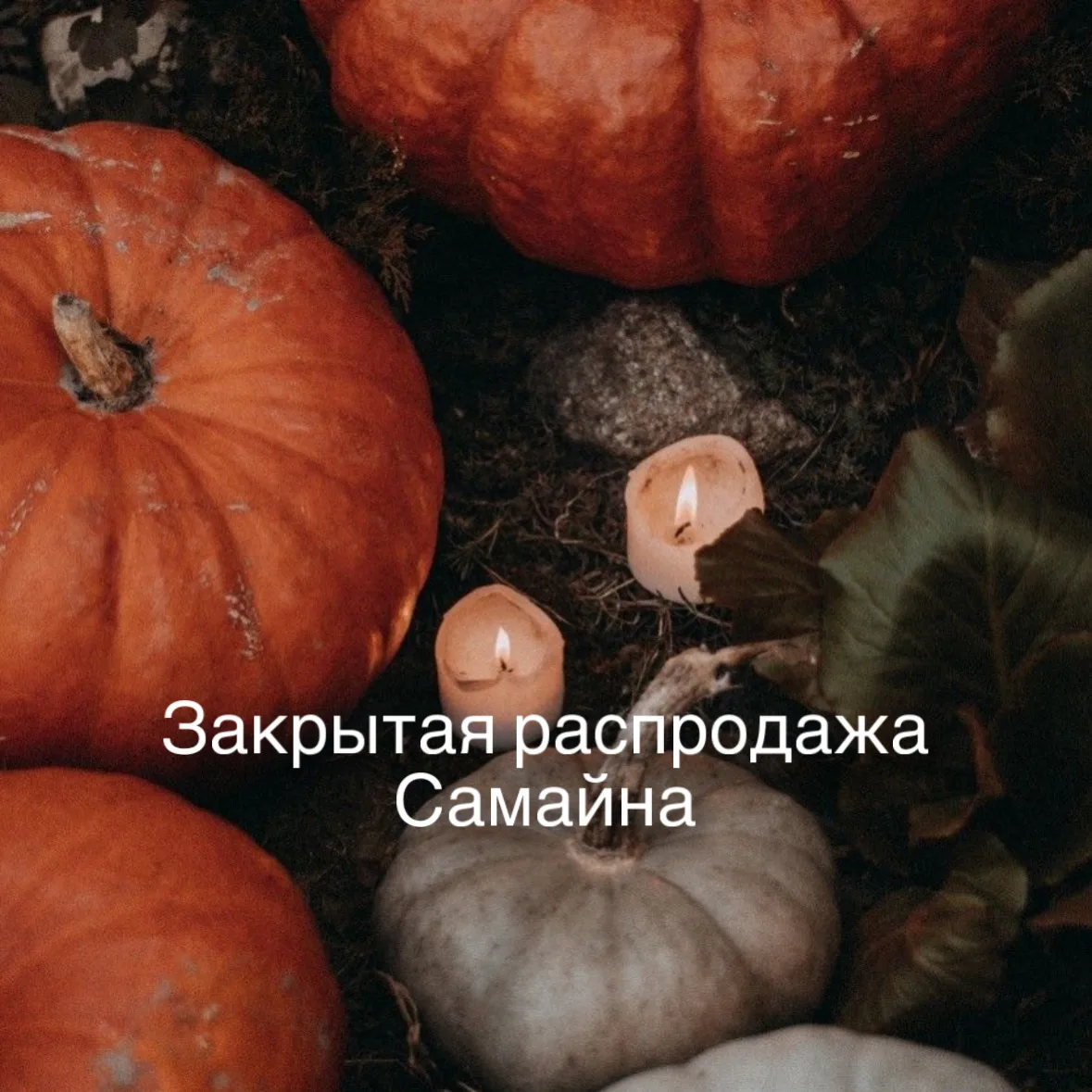 Уже выложила первые предложения 🔥