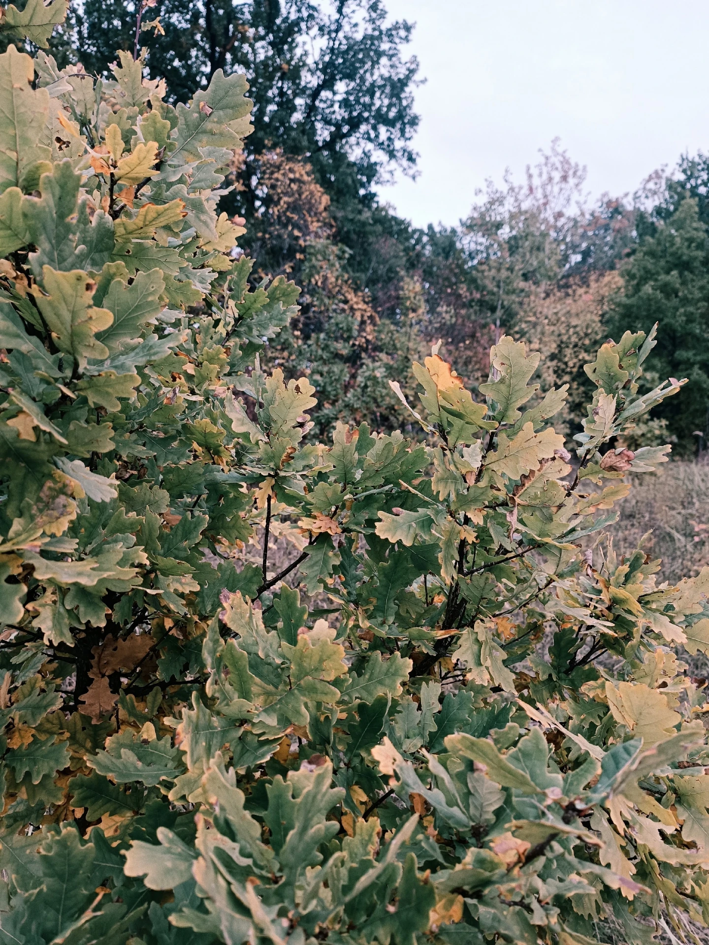 🍁 Пятница на «БелПрессе»!