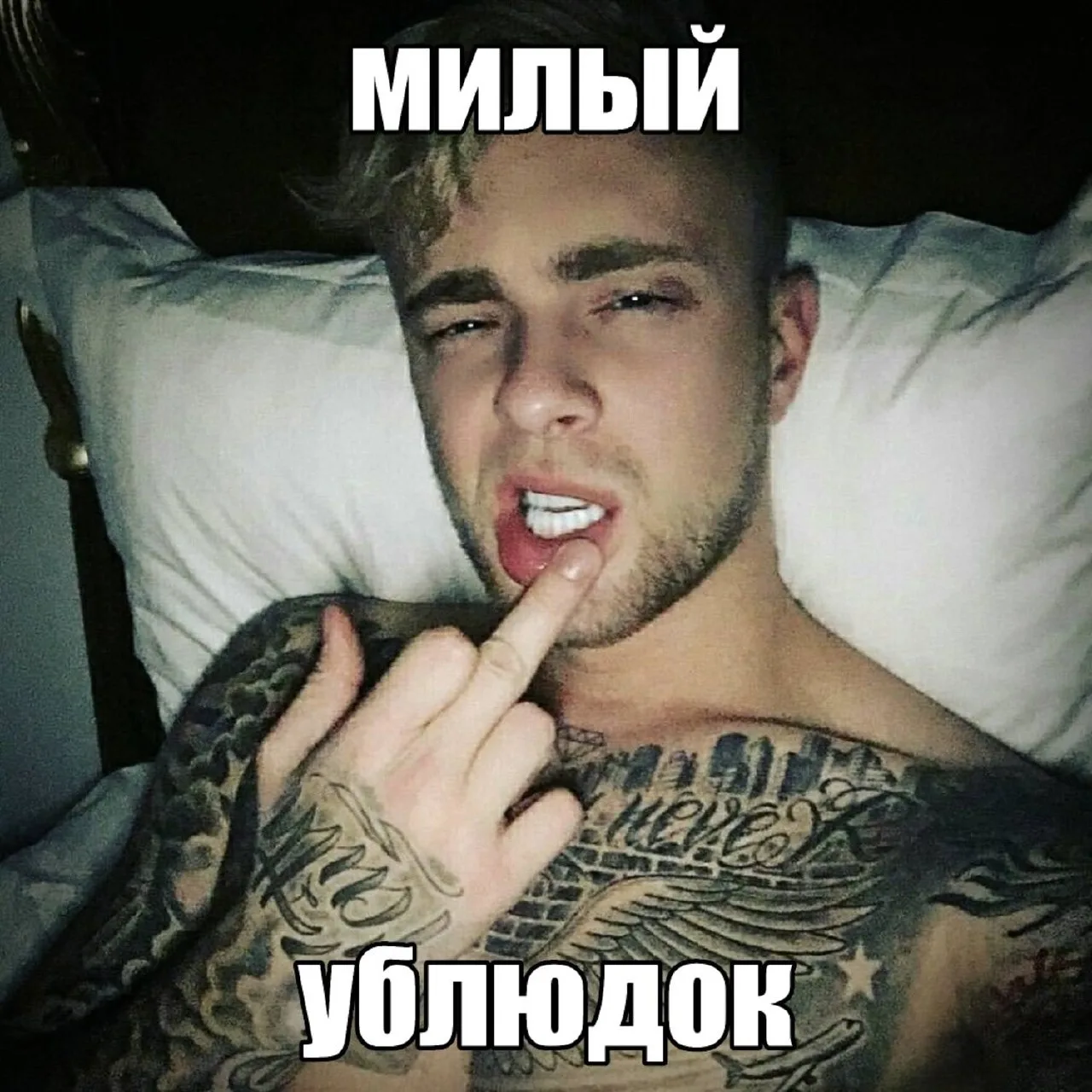 ПРЕМЬЕРА ТРЕКА «милый ублюдок» уже на всех музыкальных площадках!