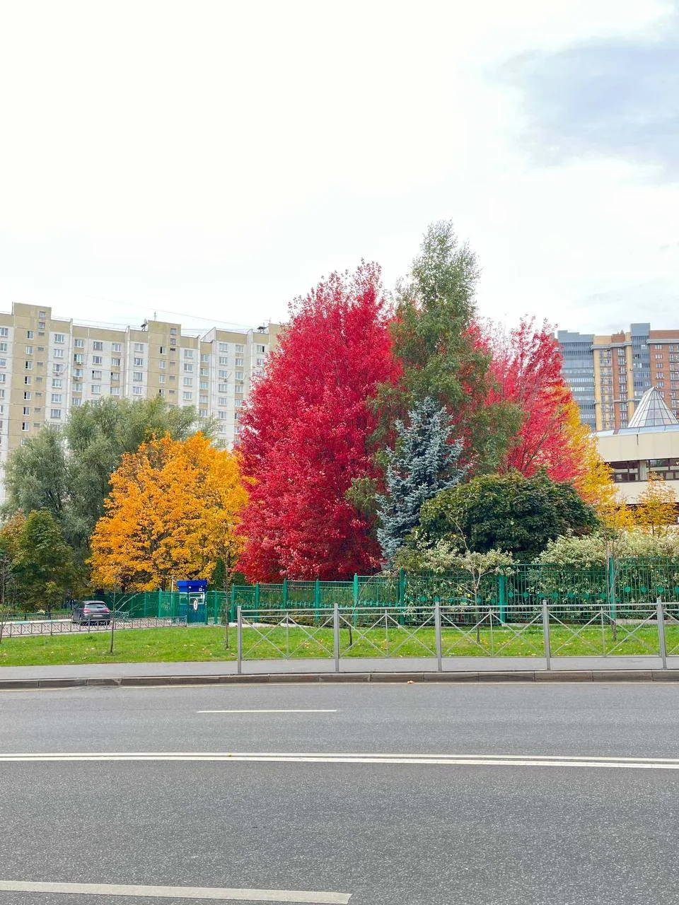 Осень играет всеми красками в Одинцово 🍂💚❤️💛