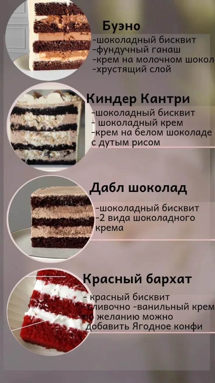 Бенто S-450 гр. -1700₽