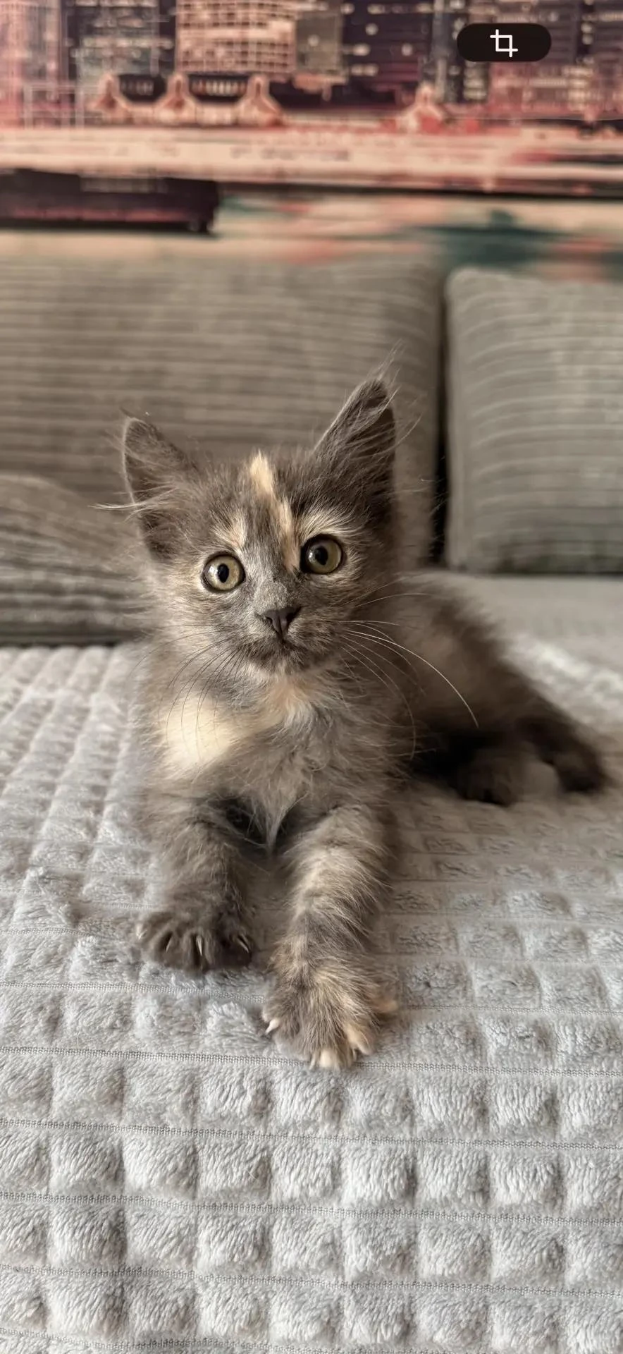Немного не в тему, но тоже выгодно! 😊