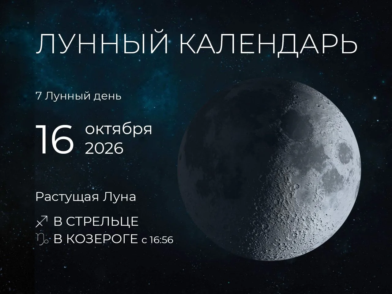 📆 Рекомендации дня: