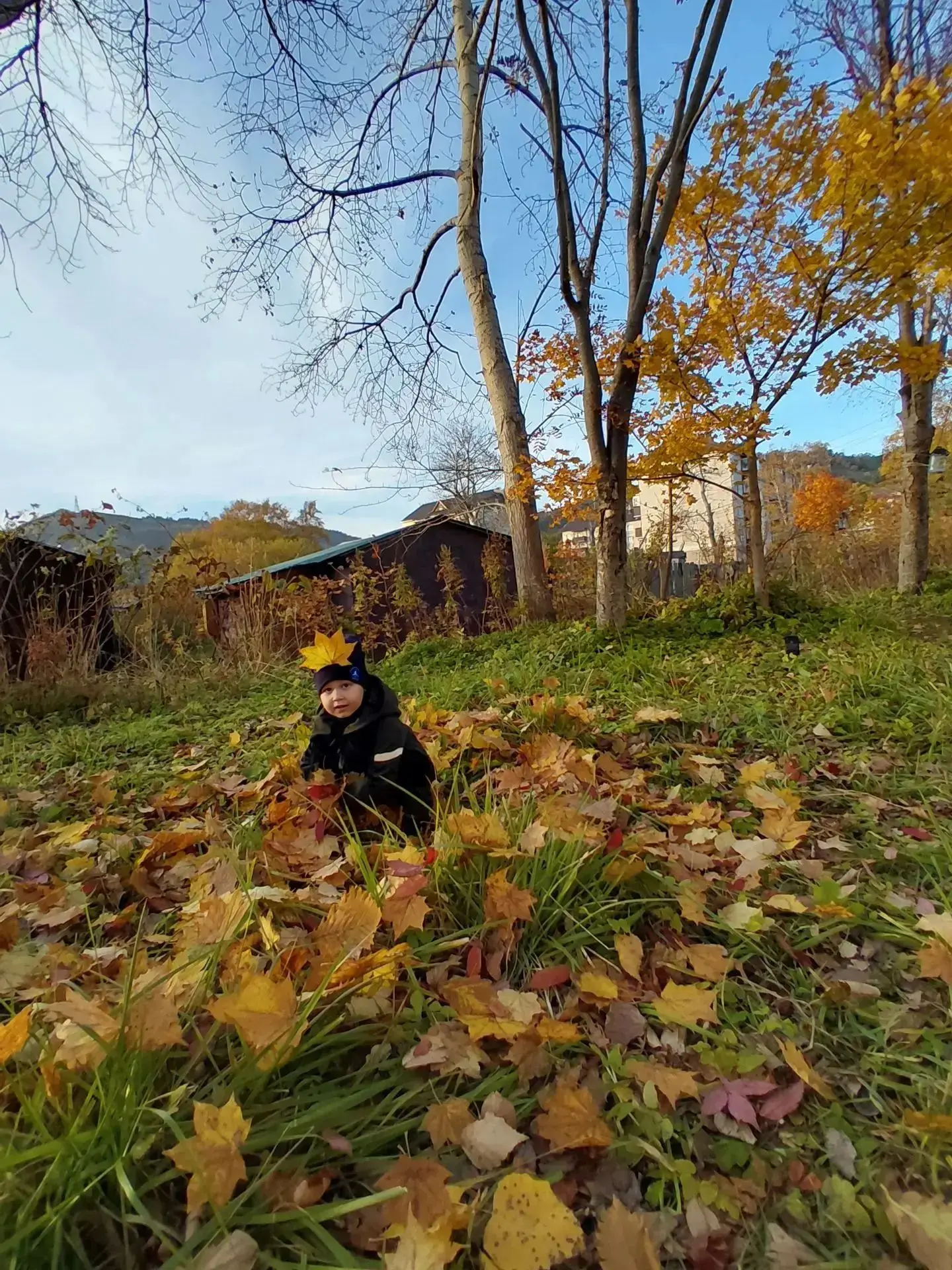 🍁Флешмоб «Листопад в ладошках» 🍂🍁