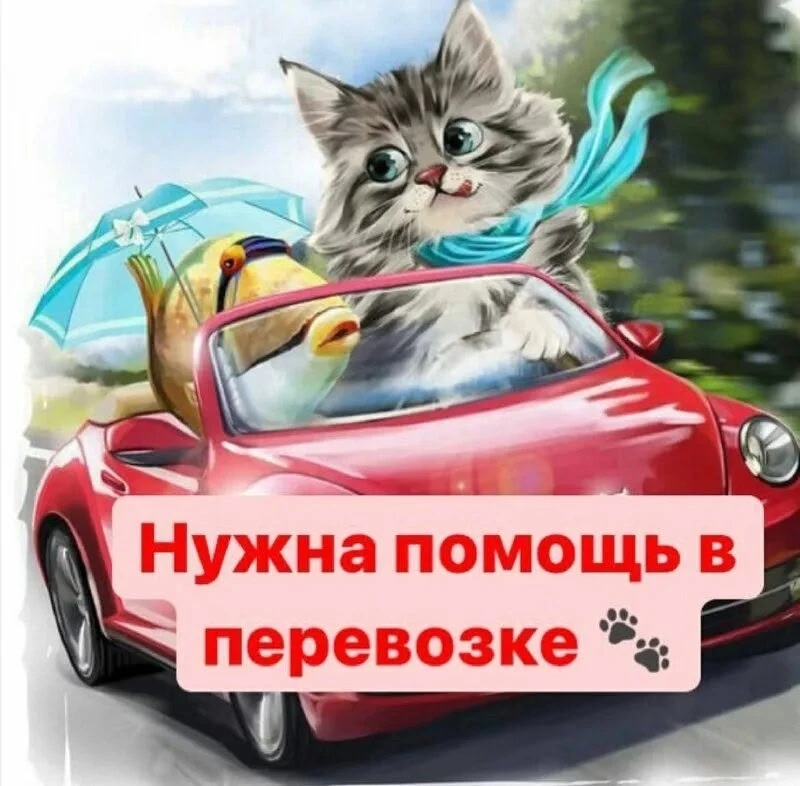 Маленькое дело — большая помощь! ❤️